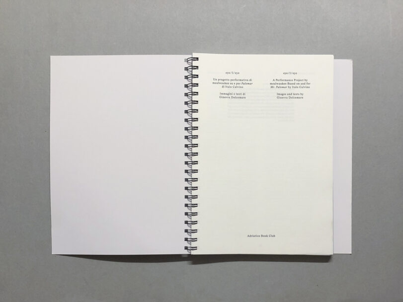 eye_I_eye_BeatricePuddu_2