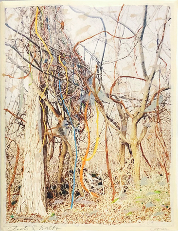 2RootsAndWaltz_BeatricePuddu