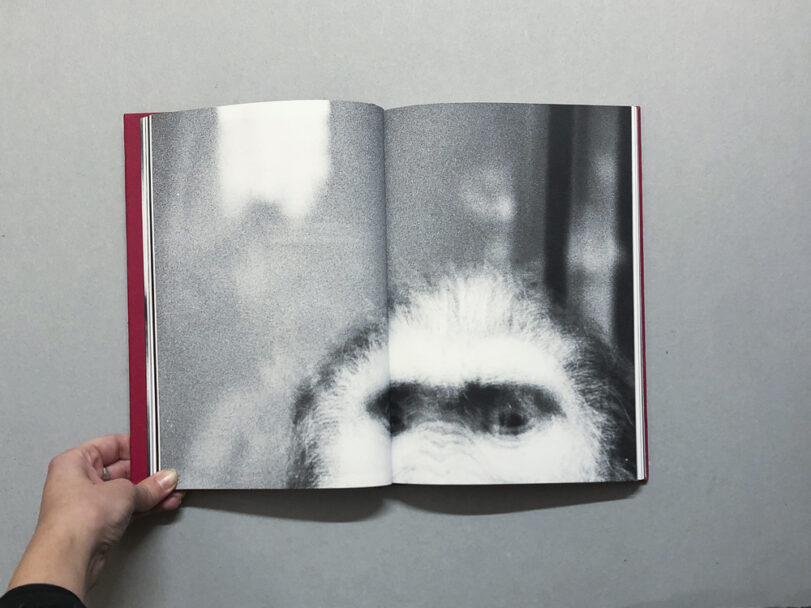 HomeIsHome_BeatricePuddu_10