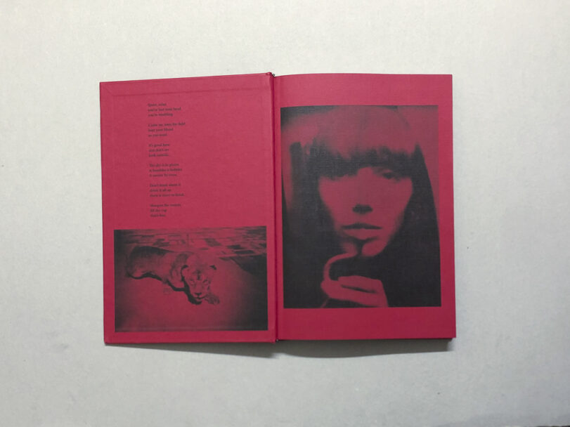 HomeIsHome_BeatricePuddu_2