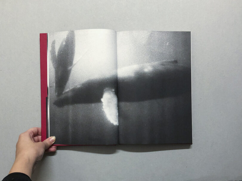 HomeIsHome_BeatricePuddu_4