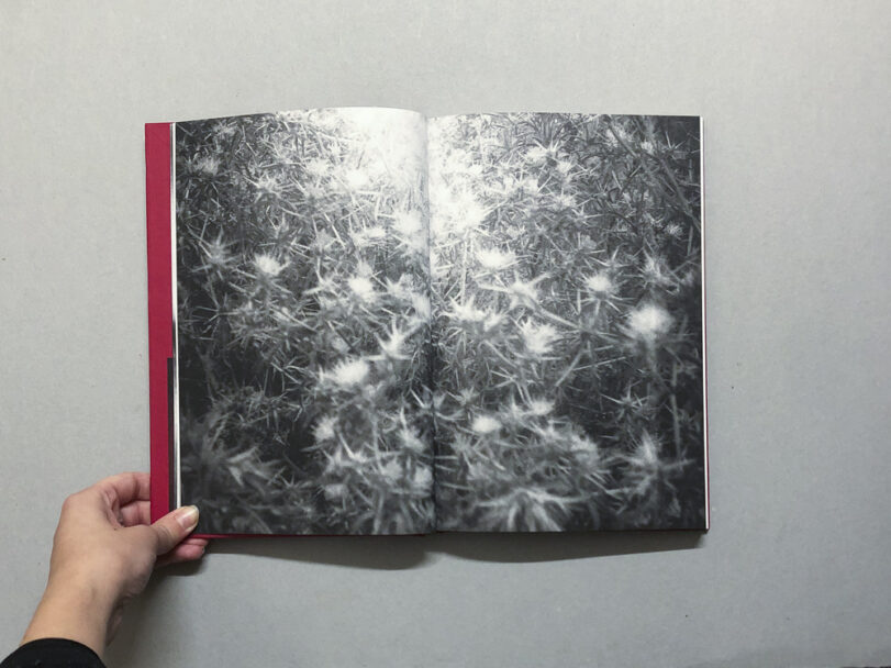 HomeIsHome_BeatricePuddu_5