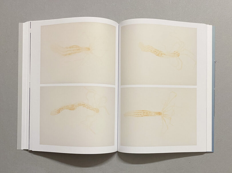 MichaelT-Leporello__12