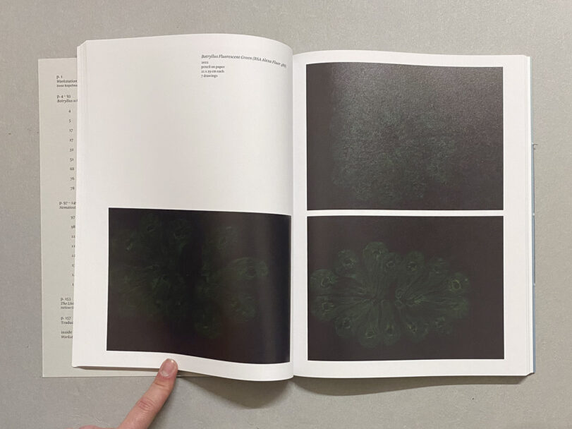 MichaelT-Leporello__8