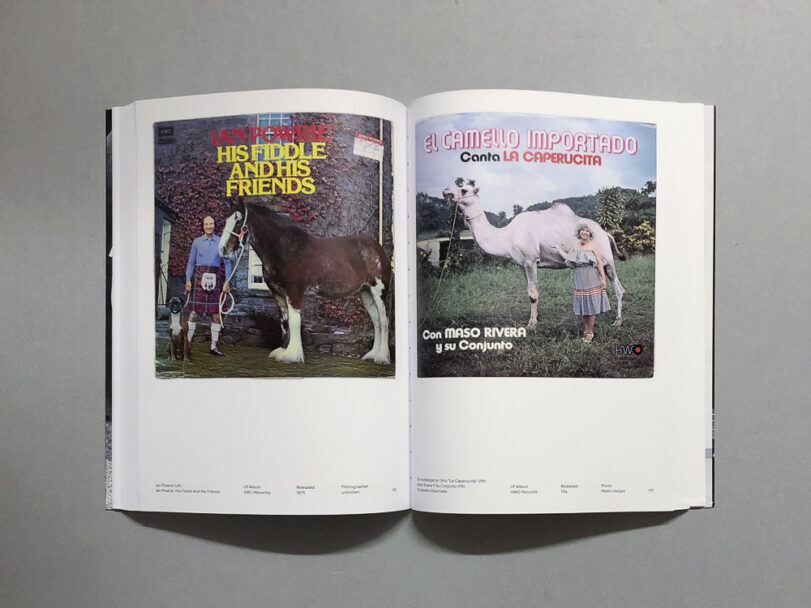 PetSounds_BeatricePuddu_10