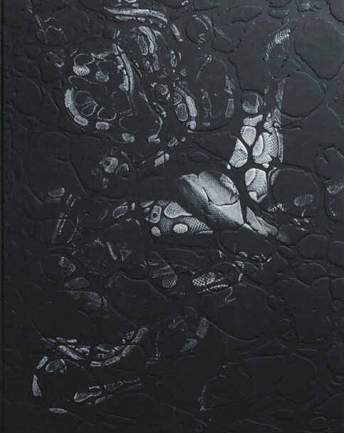 Plexus1_BeatricePuddu