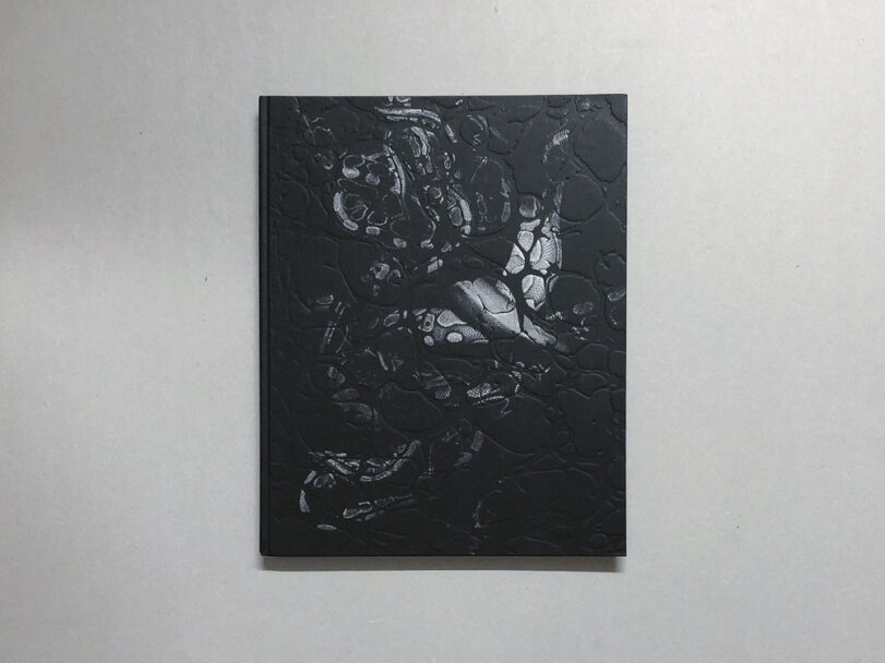 Plexus_BeatricePuddu