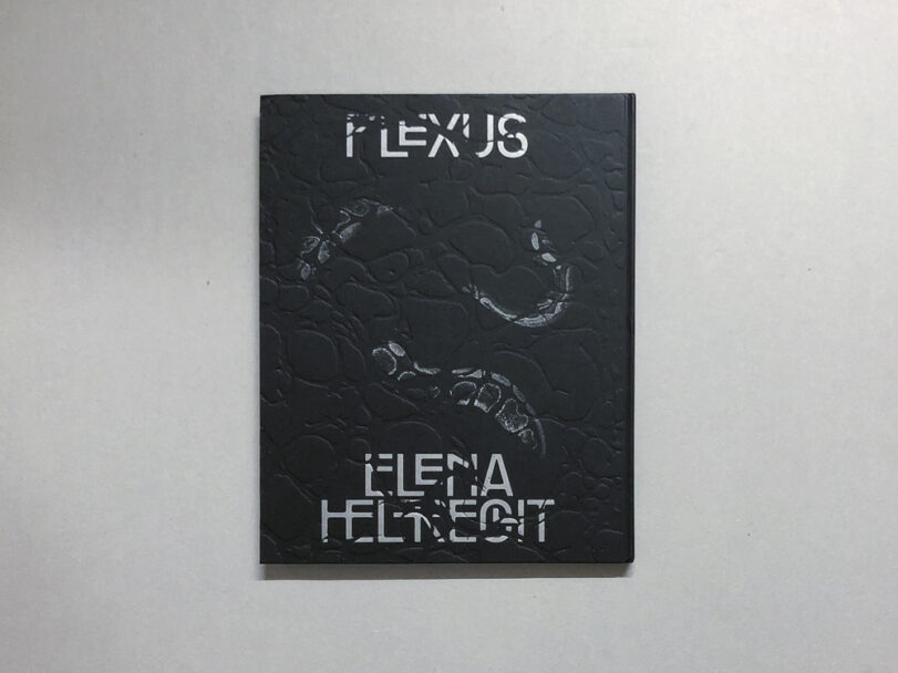 Plexus_BeatricePuddu_1