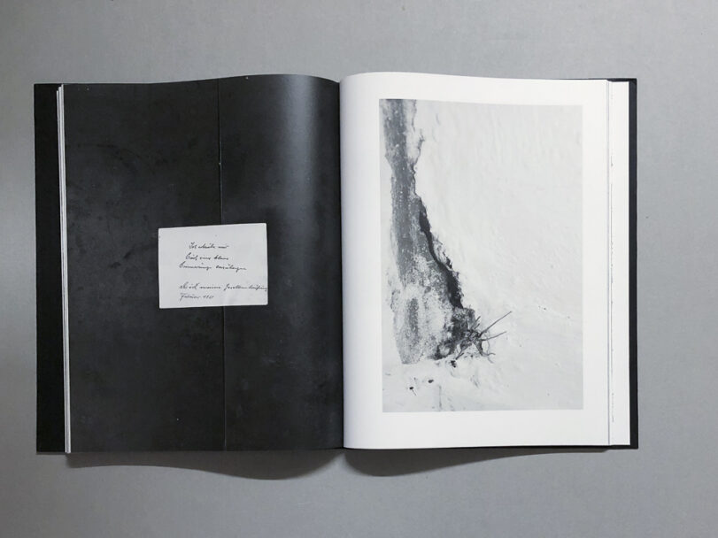 Plexus_BeatricePuddu_10