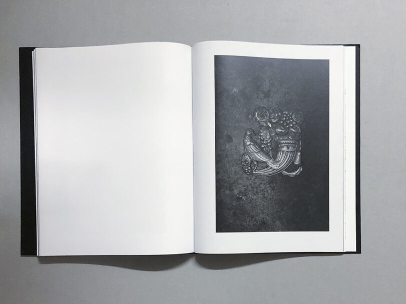 Plexus_BeatricePuddu_11