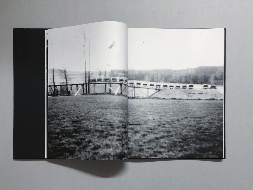 Plexus_BeatricePuddu_2