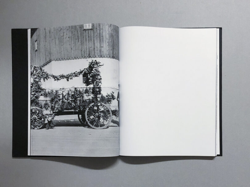 Plexus_BeatricePuddu_3