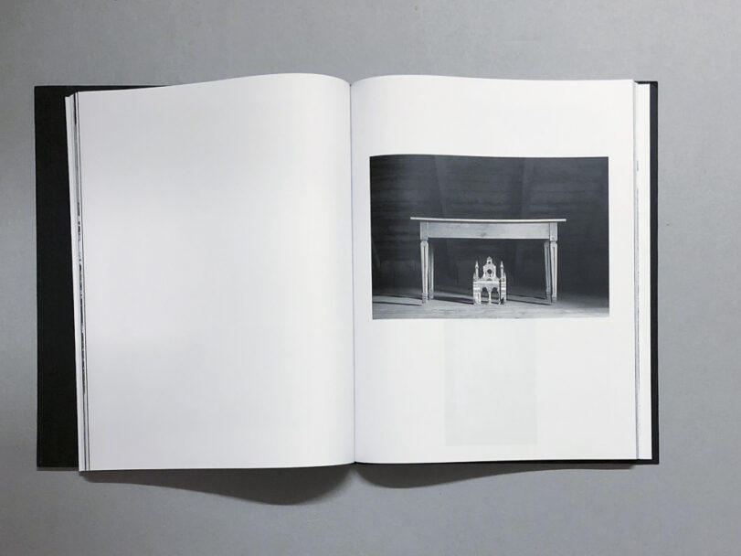 Plexus_BeatricePuddu_6