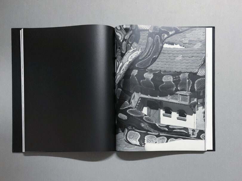 Plexus_BeatricePuddu_8