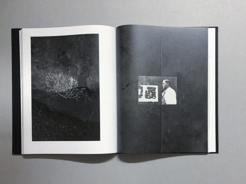 Plexus_BeatricePuddu_9