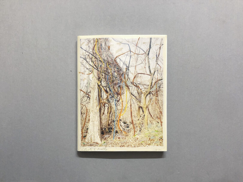 RootsAndWaltz_BeatricePuddu