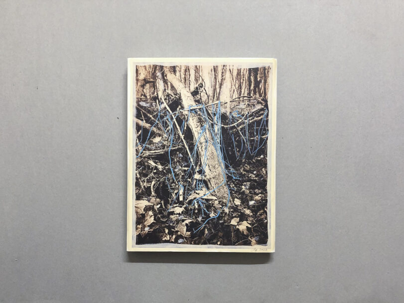 RootsAndWaltz_BeatricePuddu_1