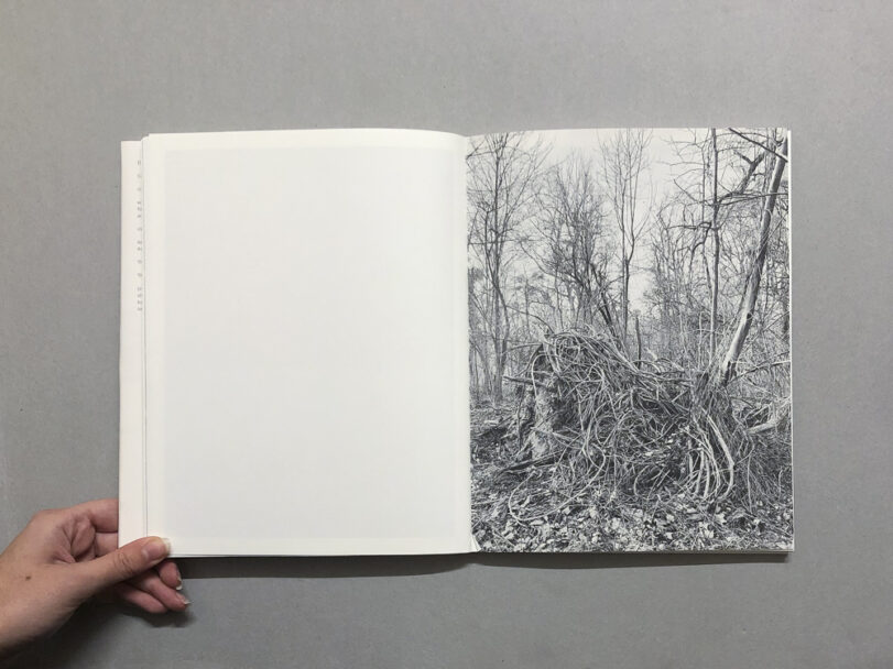 RootsAndWaltz_BeatricePuddu_10