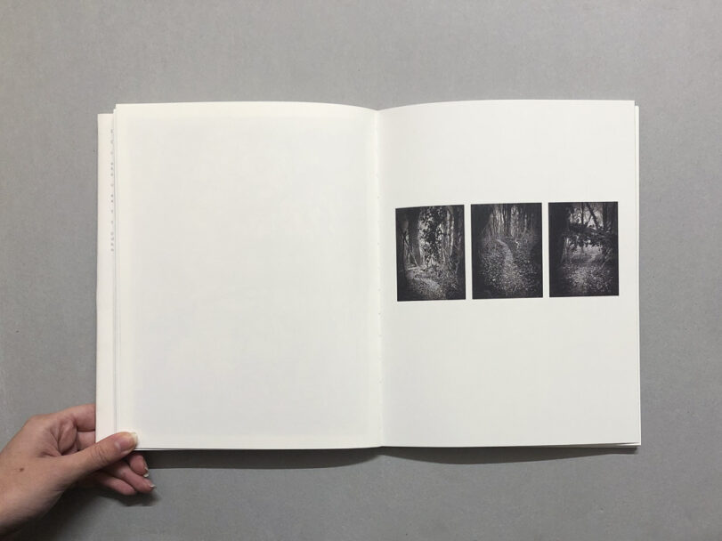 RootsAndWaltz_BeatricePuddu_11