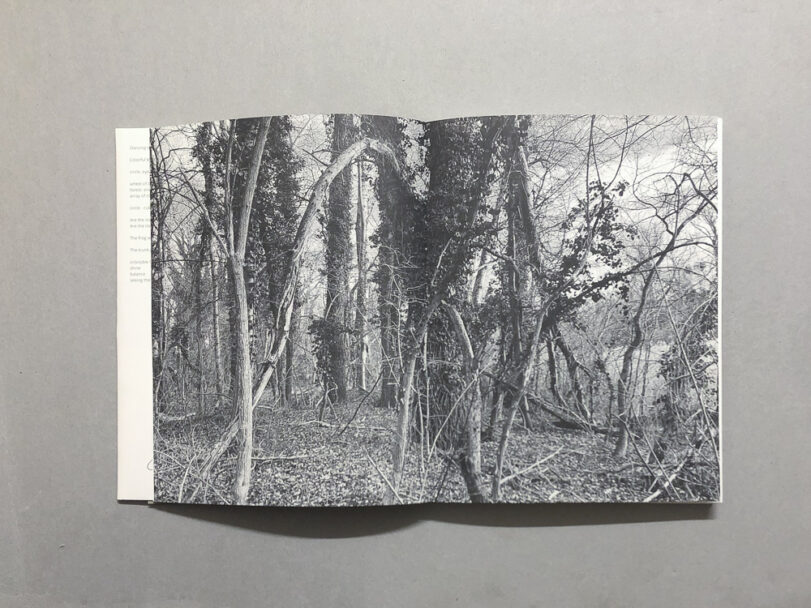 RootsAndWaltz_BeatricePuddu_2