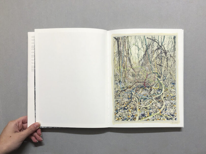 RootsAndWaltz_BeatricePuddu_3