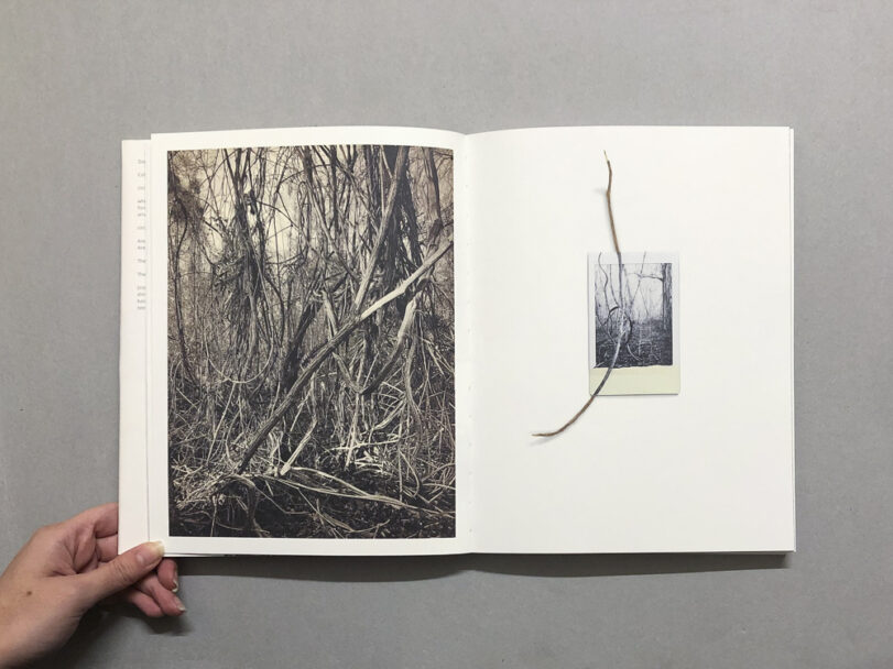 RootsAndWaltz_BeatricePuddu_5