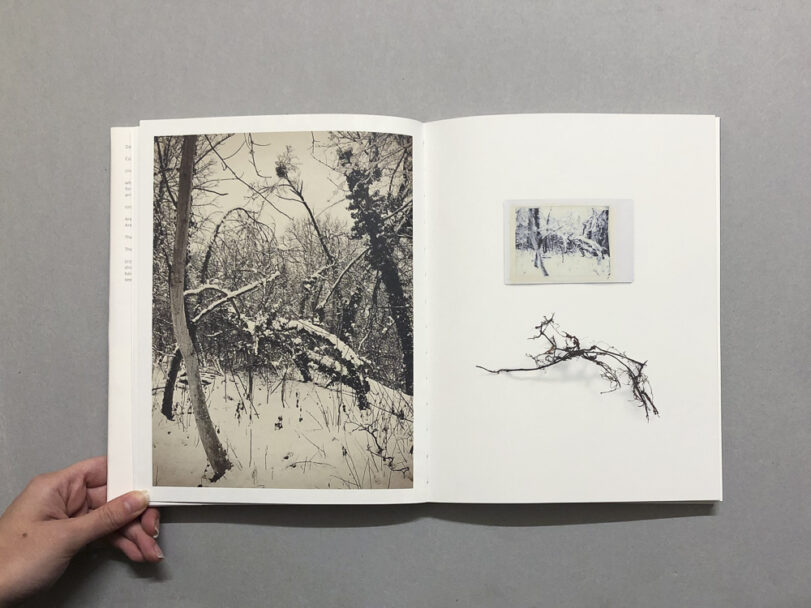 RootsAndWaltz_BeatricePuddu_6