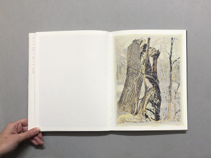 RootsAndWaltz_BeatricePuddu_7