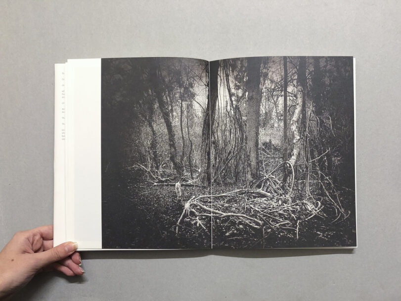 RootsAndWaltz_BeatricePuddu_8