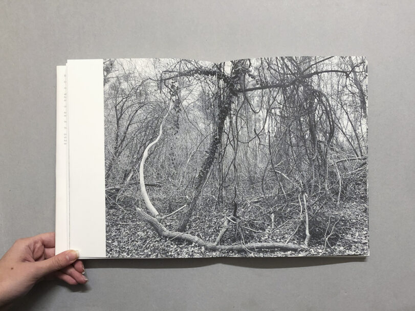 RootsAndWaltz_BeatricePuddu_9