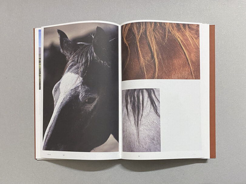 MichaelT-Leporello__3