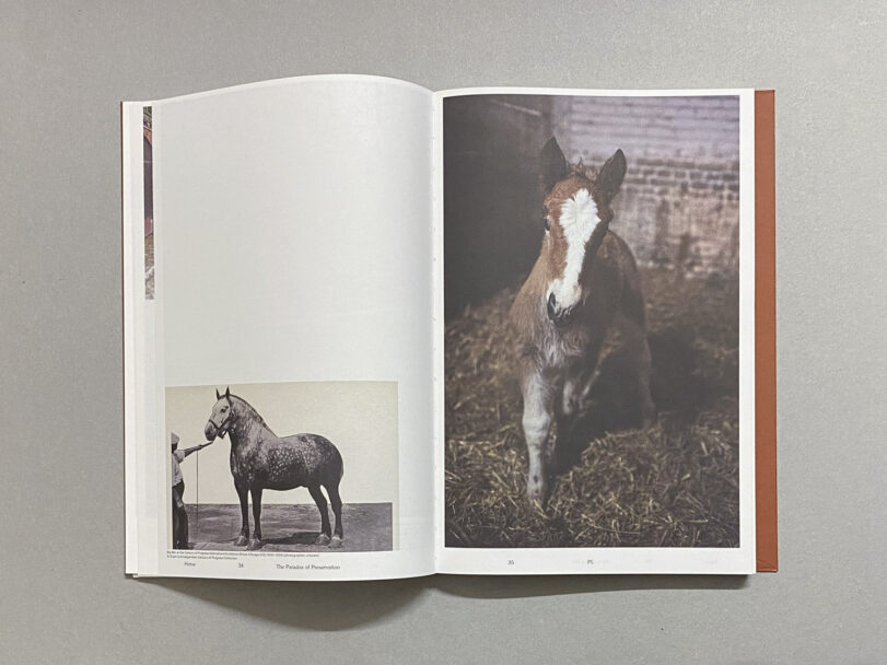 MichaelT-Leporello__7