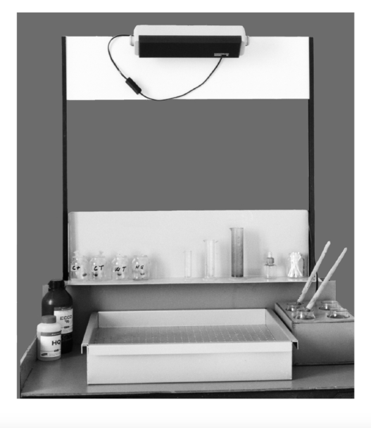 LPRLL06_Schermata 2024-02-11 alle 17.15.49