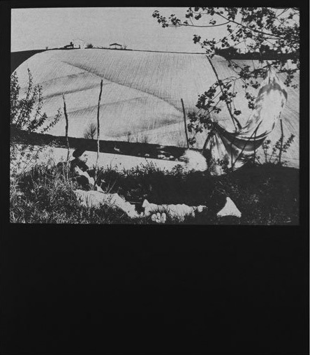 9008DC89-09B2-4896-9F7A-4F21C646AA63_1_201_a