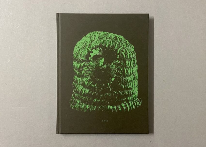 IMG_2950 - dimensioni grandi