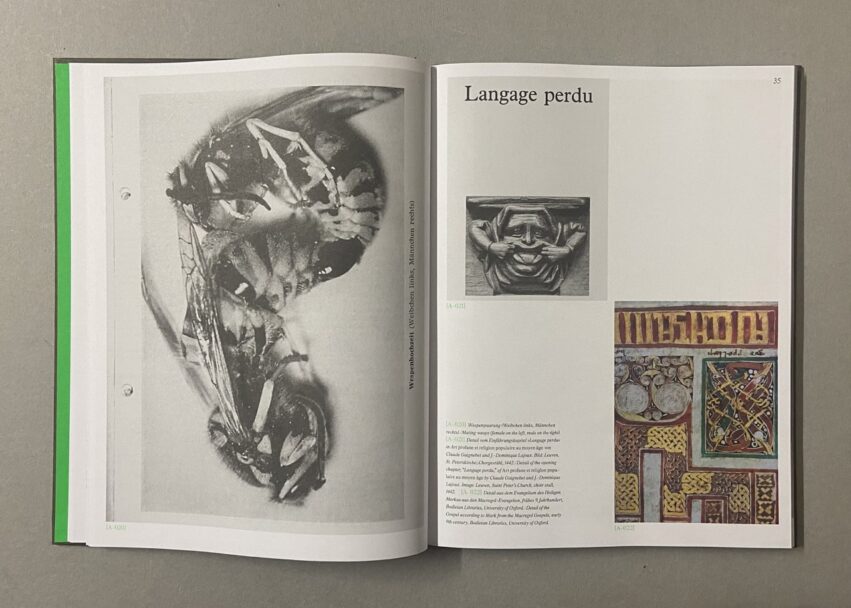 IMG_2957 - dimensioni grandi