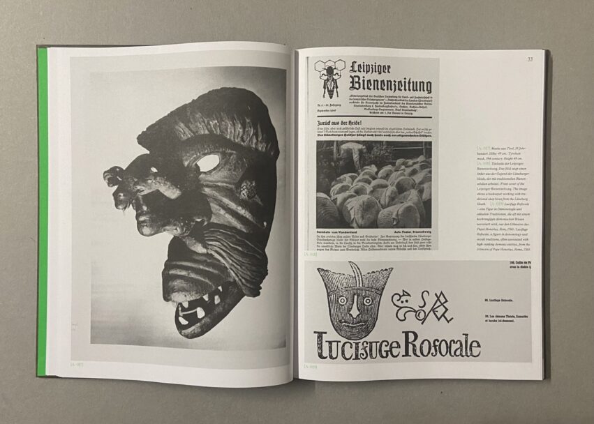 IMG_2958 - dimensioni grandi