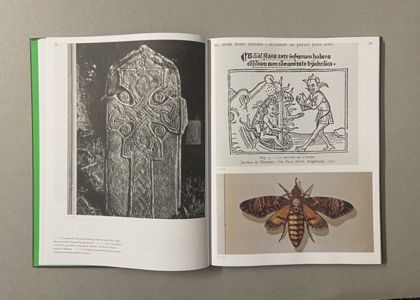 IMG_2960 - dimensioni grandi