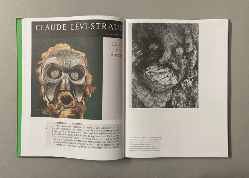 IMG_2961 - dimensioni grandi