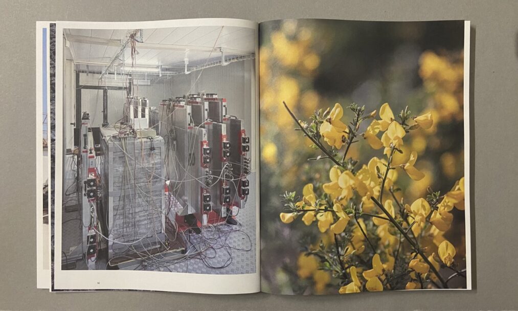 IMG_3233 - dimensioni grandi