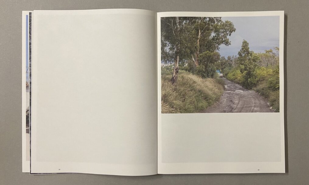 IMG_3235 - dimensioni grandi