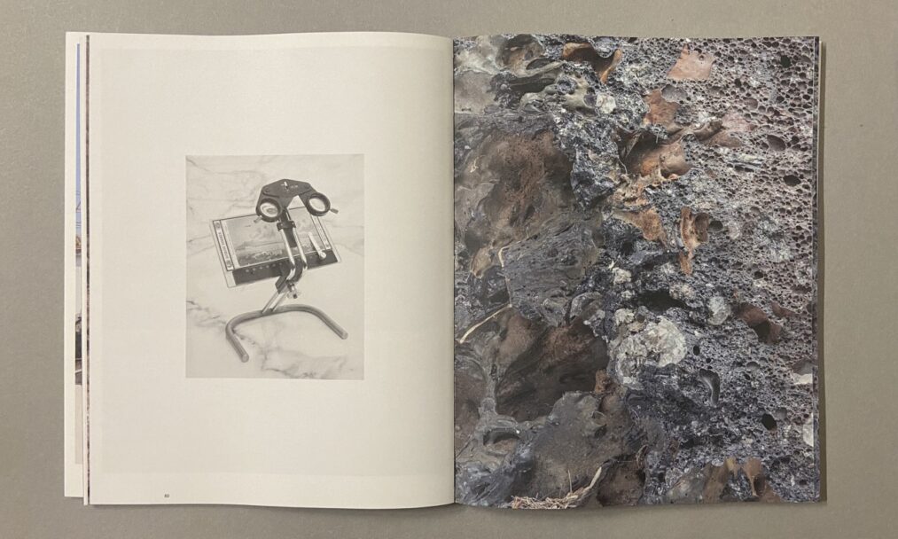 IMG_3241 - dimensioni grandi