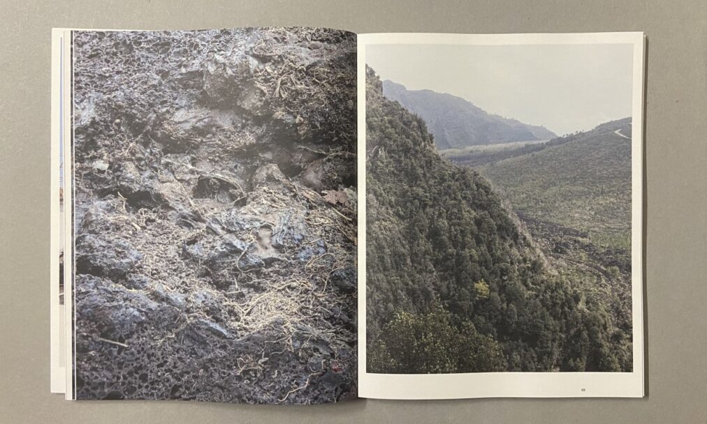 IMG_3242 - dimensioni grandi