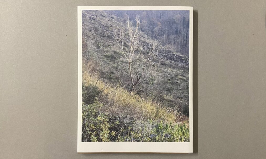 IMG_3246 - dimensioni grandi