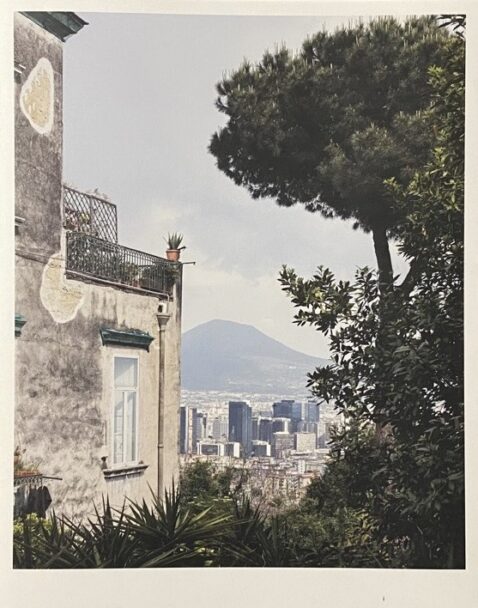 IMG_3247 - dimensioni grandi 2