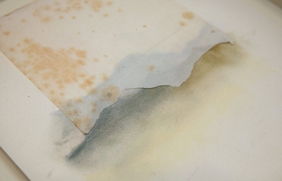 futura tittaferrante-0663-min