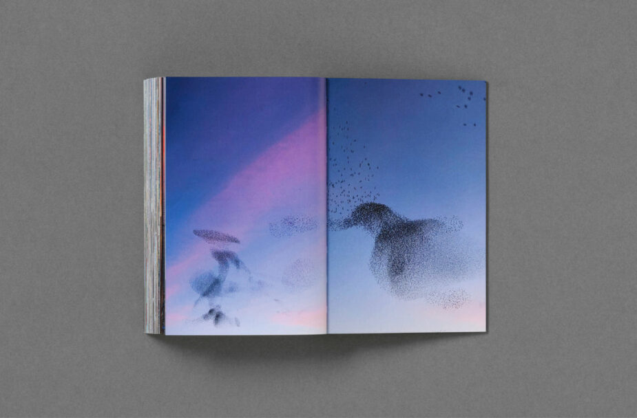 Sam_Youkilis_Somewhere_65_1080x1080