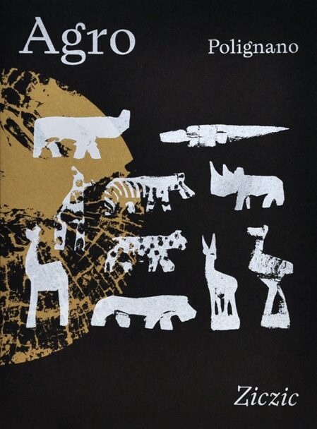 88819021-F324-4C69-B494-B7BEFB5E85FC_1_201_a