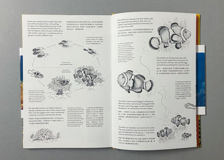 Marta_Scagliusi copia_1