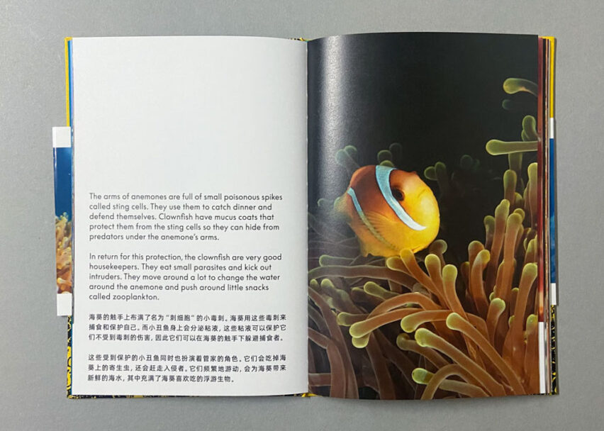 Marta_Scagliusi copia_10